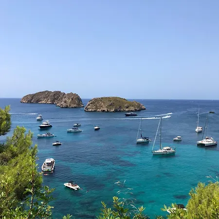 Damar
