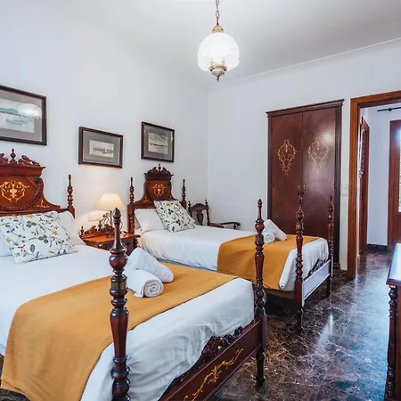 Damar Villa *
