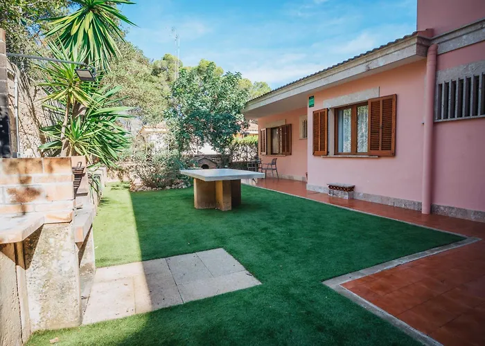 Damar * كان بيكافورت